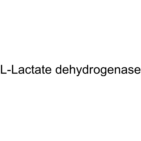 L-Lactate dehydrogenase 9001-60-9